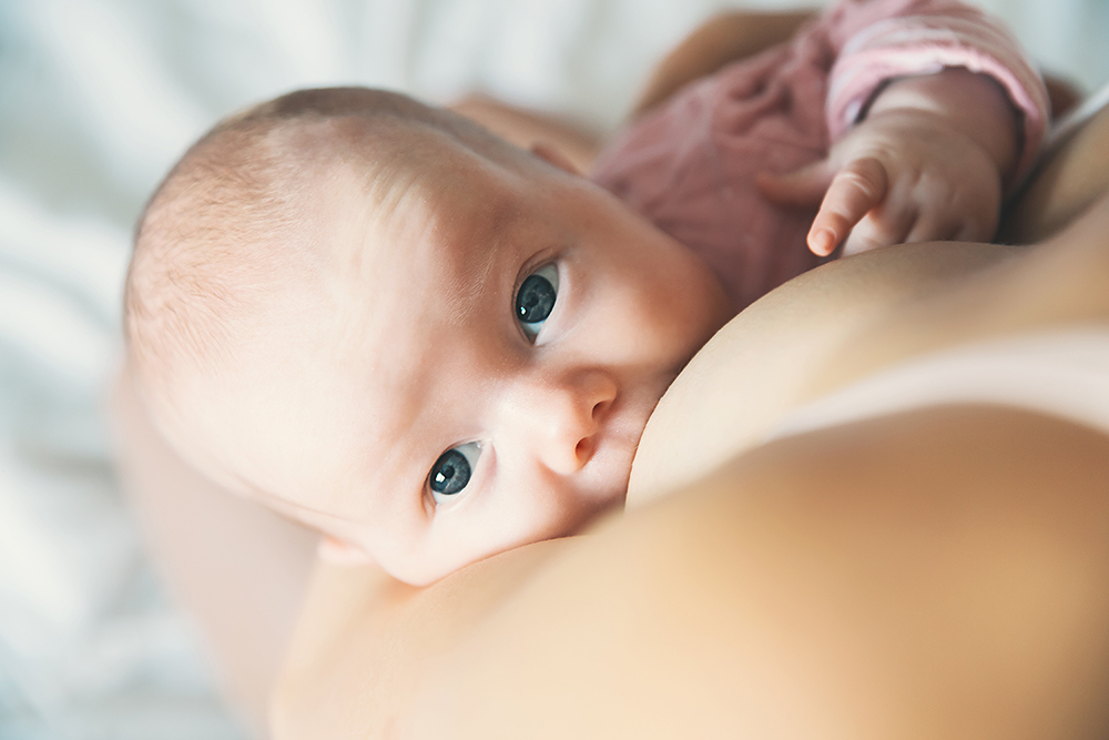 Lactation et allaitement maternel Lactation et allaitement maternel